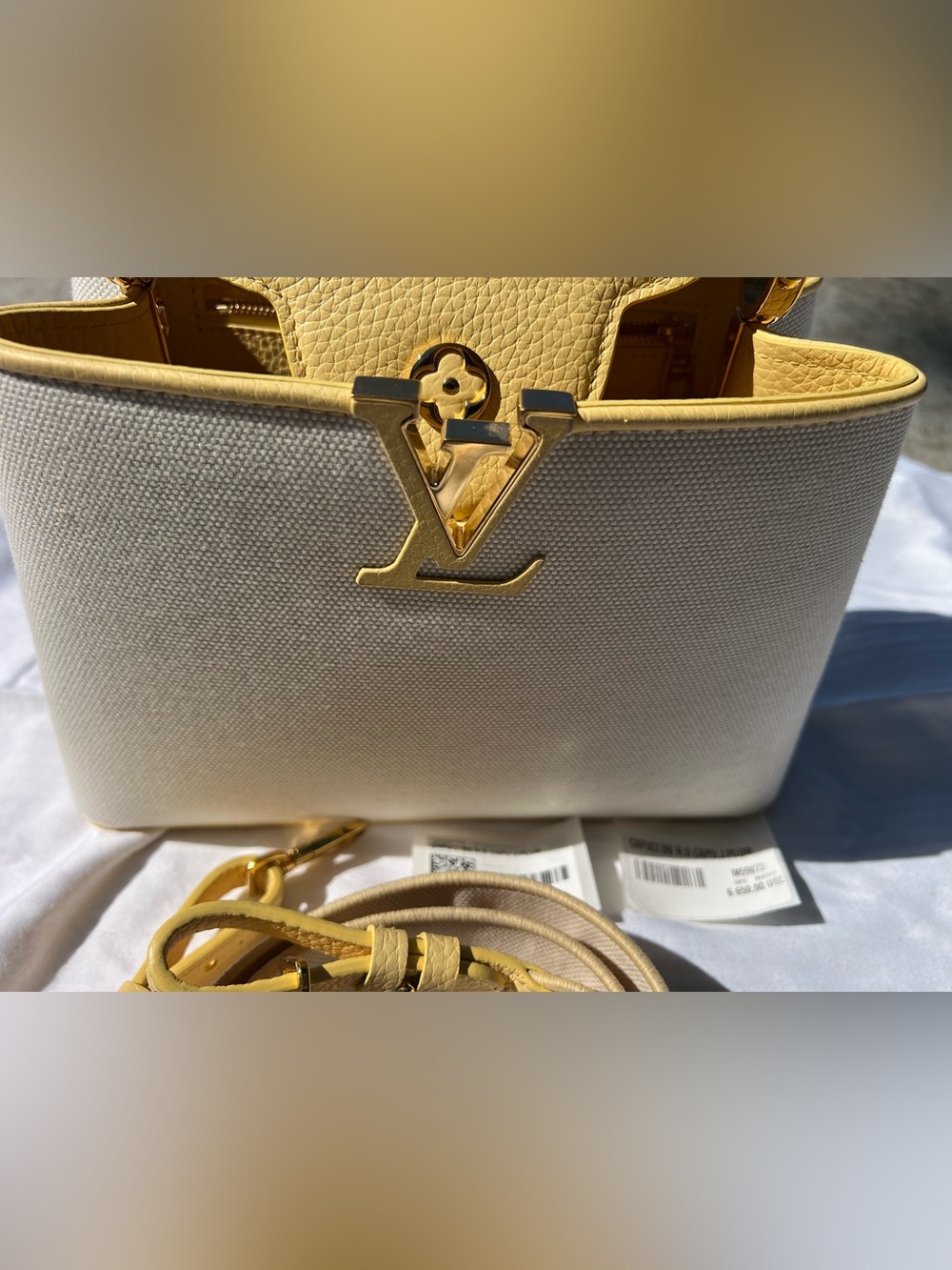 Louis Vuitton Capucines BB Bag in Leather M59873
